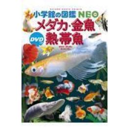 『メダカ・金魚・熱帯魚』   　岡本信明　橋本寿史　斉藤憲治　　　（小学館）