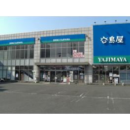 流通通り店